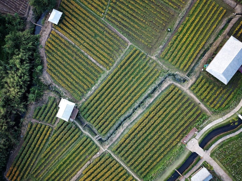 Aerial photograph of farm